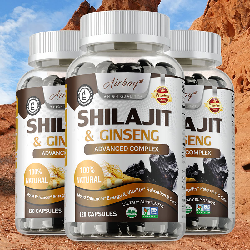 Ginkgo Biloba Extract - Shilajit e ginseng - suporte de