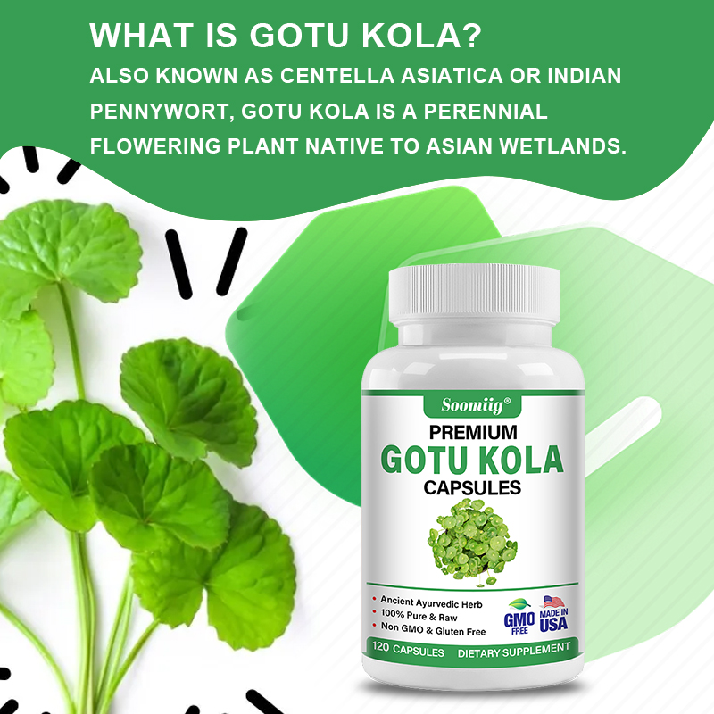 Cápsulas de Gotu Kola 1300mg - - Ginkgo Biloba Extract avaliação e preço